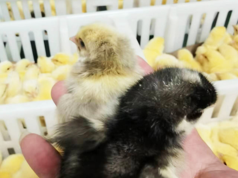 車(chē)間實(shí)拍