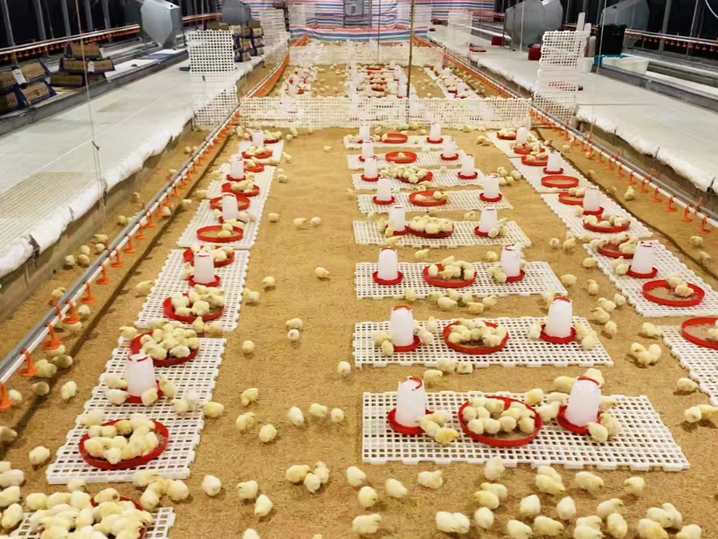 車(chē)間實(shí)拍