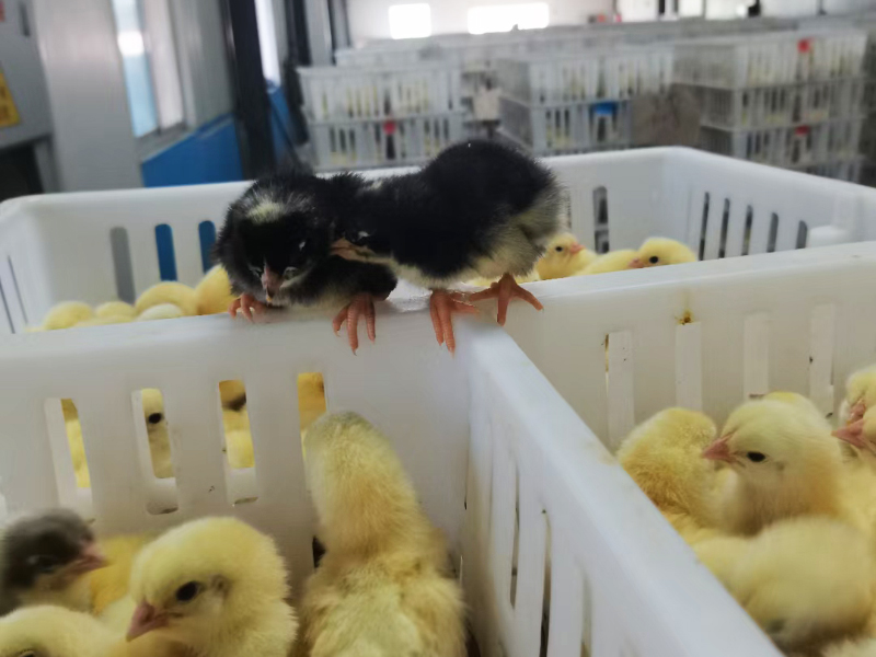 車(chē)間實(shí)拍