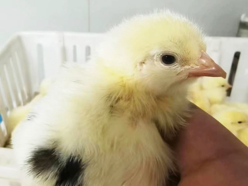 車(chē)間實(shí)拍