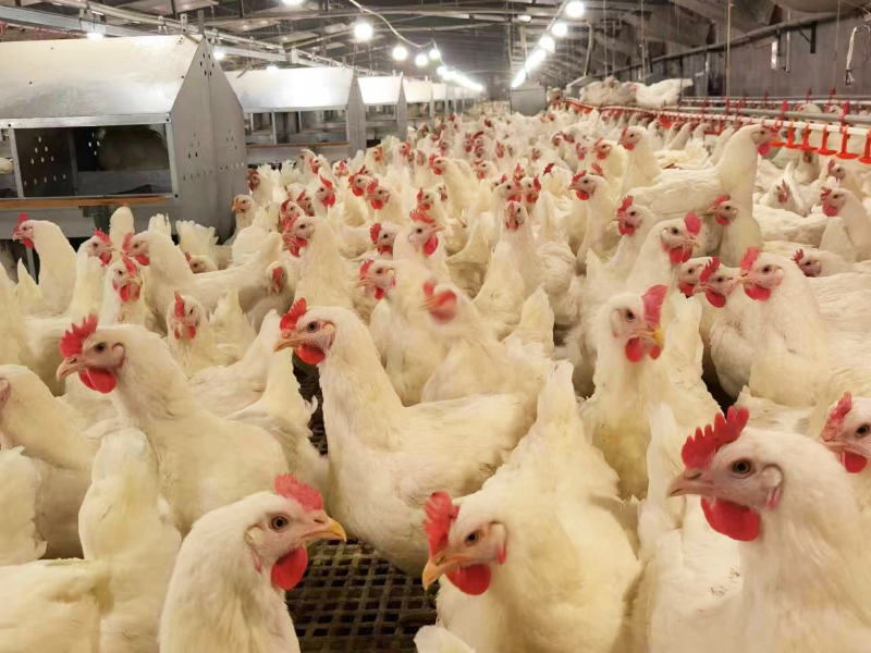 車(chē)間實(shí)拍