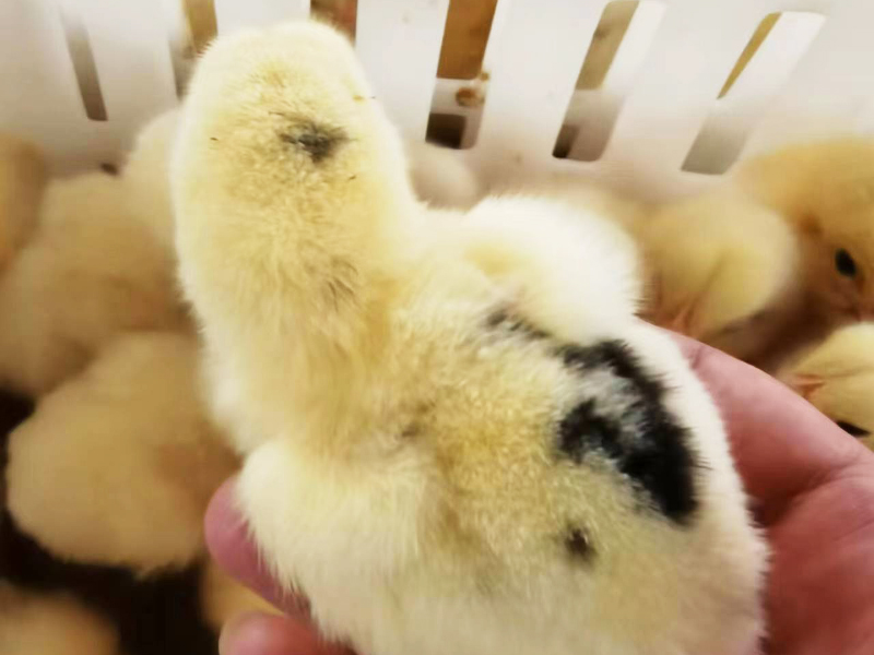 車(chē)間實(shí)拍